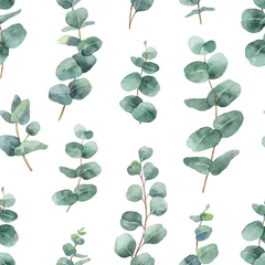 Behang Aquarel bladerprint Aquarel vector naadloze patroon met zilveren dollar eucalyptus bladeren en takken.
