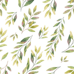 Watercolor vector seamless pattern with silver dollar eucalyptus leaves and branches.