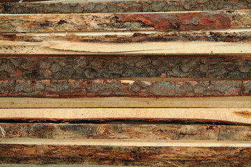 fresh firewood texture