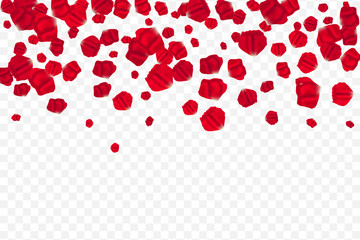 Flying random, chaotic red petals on transparent background.