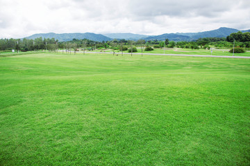 lawn on natural background.