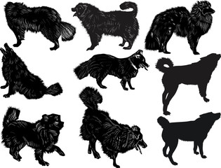 set of nine dogs sketches isolated on white