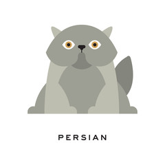 Fluffy gray persian cat. Adorable long-haired feline with round face and short muzzle. Cartoon pet character. Domestic animal. Flat vector design for logo or print