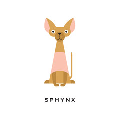 Egyptian sphynx cat with funny muzzle. Hairless kitten with long thin tail and big ears. Cartoon domestic animal. Flat vector design for vet service or pet shop
