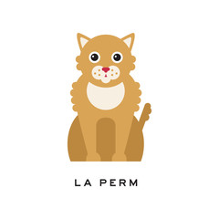 Portrait of la perm cat. Cute feline with long curly red fur coat and shiny eyes. Cartoon purebred domestic animal. Flat vector design for pet shop or vet clinic