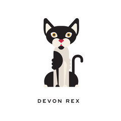 Devon rex, intelligent, short-haired cat. Feline with white and black fur, red nose, brown eyes and large ears. Domestic animal. Flat vector for vet clinic or zoo shop logo