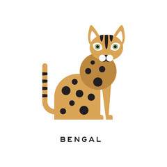 Purebred bengal cat. Cartoon domestic animal with cute rounded muzzle, brown-spotted body and green eyes. Flat vector design for zoo store or vet clinic