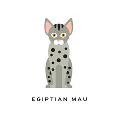 Cute egyptian mau cat. Medium-sized short-haired pet with brown eyes, gray fur and black spots on body. Cartoon purebred domestic animal. Flat vector design
