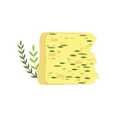 Piece of traditional Gouda cheese with green herbs. Dairy organic product. Delicious and healthy food. Flat vector design for advertising poster or banner
