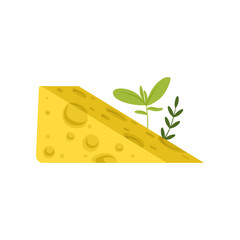 Triangular piece of Swiss cheese with green herbs. Tasty gourmet food. Healthy nutrition. Dairy product concept. Flat vector design for poster or flyer