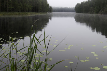 Misty lakeside views and reflections