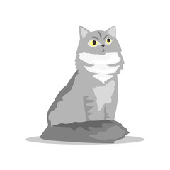 Fluffy siberian cat with gray fur. Pet with serious muzzle. Cartoon domestic animal character. Human s little friend. Flat vector sign for pet shop or veterinary clinic