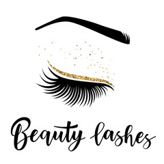 Vector illustration of beauty lashes