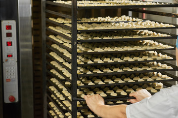 Great ammount of black shelves, full of identical little creamy cakes from raw dough, ready for later preparation.The baker delivers them to the fridge, which is on the background.