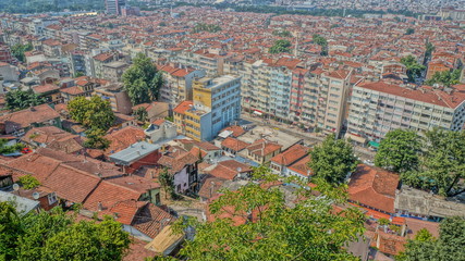 bursa