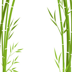 Bamboo background, vector illustration.