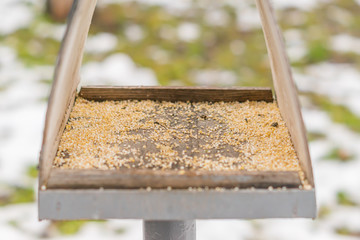 closeup of bids' feeding house with grain