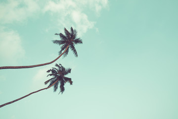 Fototapeta premium Two coconut palm trees hanging over sky background vintage color toned
