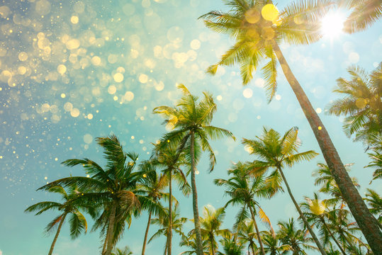 Palm trees with party lights glitter bokeh effect