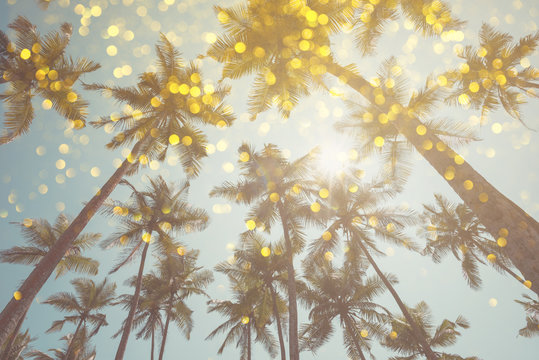 Fototapeta Palm trees vintage toned with shiny party bokeh glitter golden lights effect