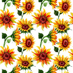 Wildflower sunflower flower pattern in a watercolor style. Full name of the plant: sunflower. Aquarelle wild flower for background, texture, wrapper pattern, frame or border.