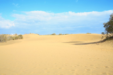 Fototapeta na wymiar The sand dunes in Maspalomas on Gran Canaria Island, Canary Islands, Spain