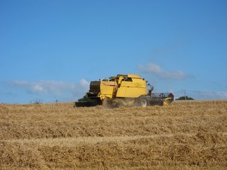 Obraz premium HILLION, FRANCE-AUGUST 13, 2017 straw and combine harvester in