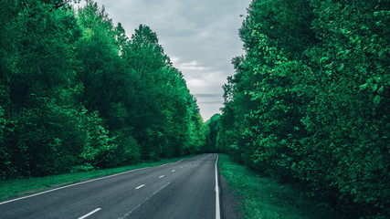 Forest road on a cloudy day. Park