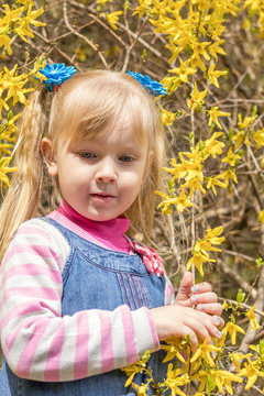 Cute little blonde girl with two ponytails near the bush with bright yellow flowers in the city park on a spring sunny day