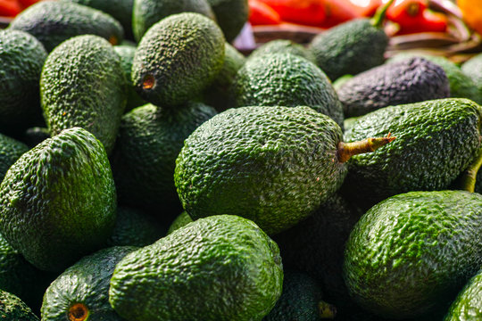 Fresh ripe green organic avocados new harvest