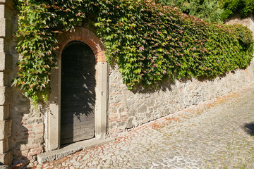 Fototapeta na wymiar Monselice, Italy - July 13, 2017: green vines stone fence and door.