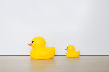 Duck, toy isolated with white background. Leadership concept.