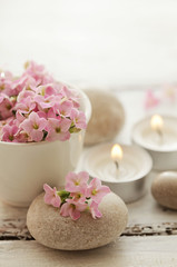 SPA still life - pebbles and flowers