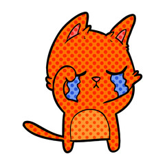 crying cartoon cat