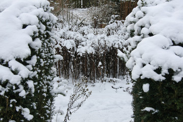 Winter im Bauerngarten