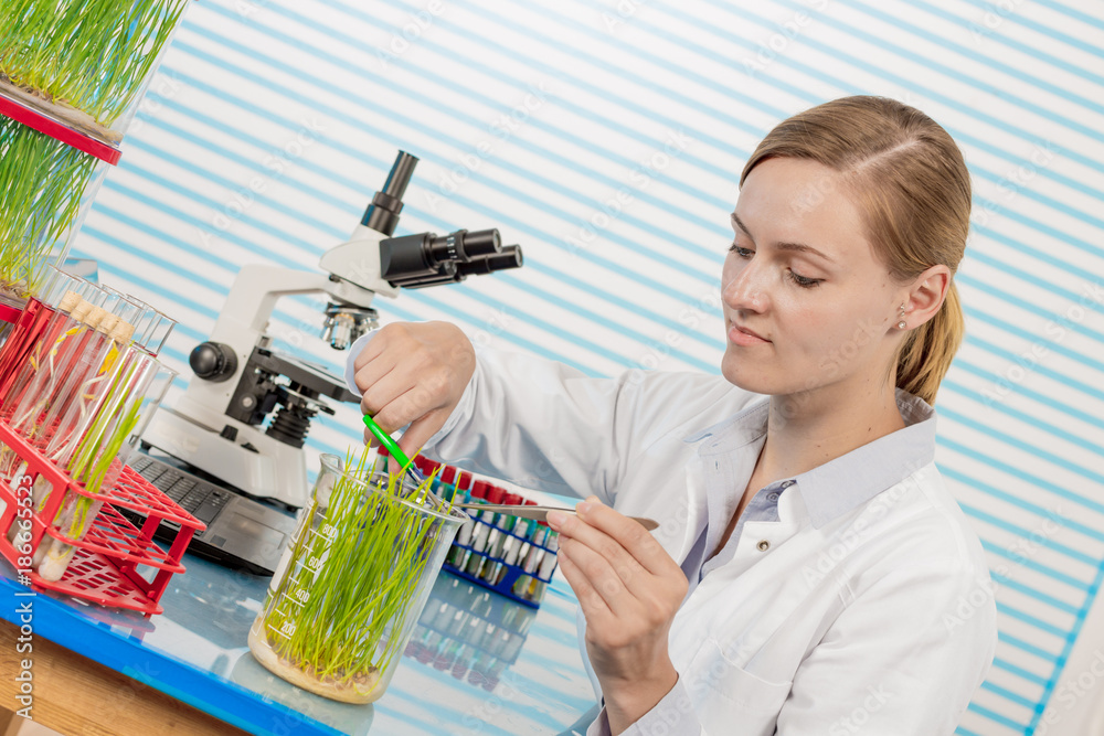 Poster scientist with green plant in modern laboratory. woman study of genetic modified gmo plants in the l