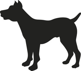 Pitbull vector silhouette