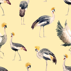 Watercolor african crane pattern
