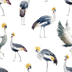 Watercolor african crane pattern