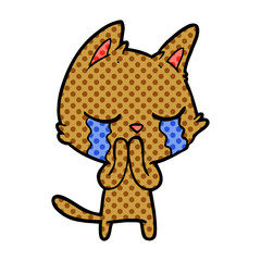 crying cartoon cat