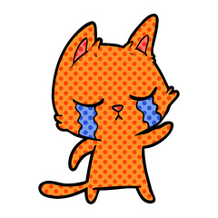 crying cartoon cat pointing