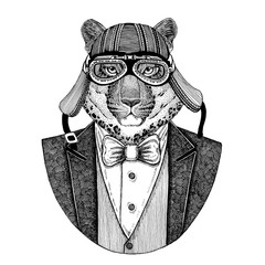 Wild cat Leopard Panther wearing jacket with bow-tie and biker helmet or aviatior helmet. Elegant biker, motorcycle rider, aviator. Image for tattoo, t-shirt, emblem, badge, logo, patch