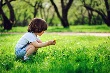 Fototapeta premium 3 years old toddler child boy walking alone in spring or summer walk in garden or park