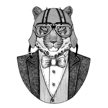 Wild cat Leopard Panther wearing jacket with bow-tie and biker helmet or aviatior helmet. Elegant biker, motorcycle rider, aviator. Image for tattoo, t-shirt, emblem, badge, logo, patch