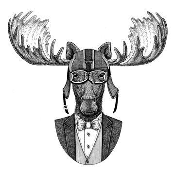 Moose, elk Animal wearing jacket with bow-tie and biker helmet or aviatior helmet. Elegant biker, motorcycle rider, aviator. Image for tattoo, t-shirt, emblem, badge, logo, patch