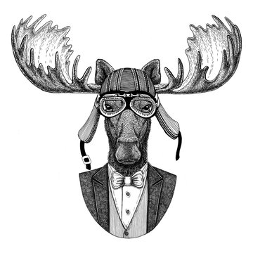 Moose, elk Animal wearing jacket with bow-tie and biker helmet or aviatior helmet. Elegant biker, motorcycle rider, aviator. Image for tattoo, t-shirt, emblem, badge, logo, patch