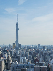 Fototapeta na wymiar Tokyo cityscape 2