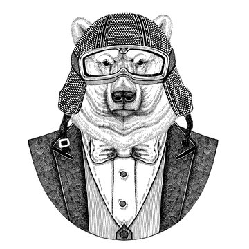Polar bear Hand drawn Animal wearing jacket with bow-tie and biker helmet or aviatior helmet. Elegant biker, motorcycle rider, aviator. Image for tattoo, t-shirt, emblem, badge, logo, patches