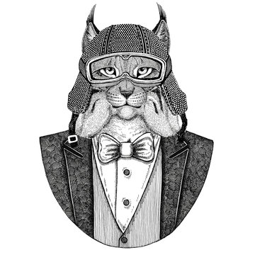 Wild cat Lynx Bobcat Trot Animal wearing jacket with bow-tie and biker helmet or aviatior helmet. Elegant biker, motorcycle rider, aviator. Image for tattoo, t-shirt, emblem, badge, logo, patches