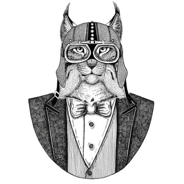 Wild cat Lynx Bobcat Trot Animal wearing jacket with bow-tie and biker helmet or aviatior helmet. Elegant biker, motorcycle rider, aviator. Image for tattoo, t-shirt, emblem, badge, logo, patches